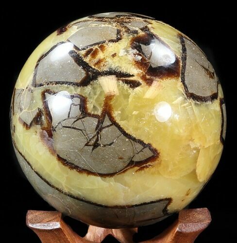 Polished Septarian Sphere - With Stand #43650